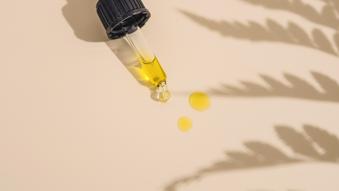 The Magic Benefits of Moringa oil for Hair